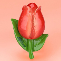 Rode Tulp 3D Magneet 7,5cm Polystone