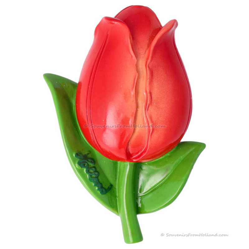 Rode Tulp 3D Magneet 7,5cm Polystone