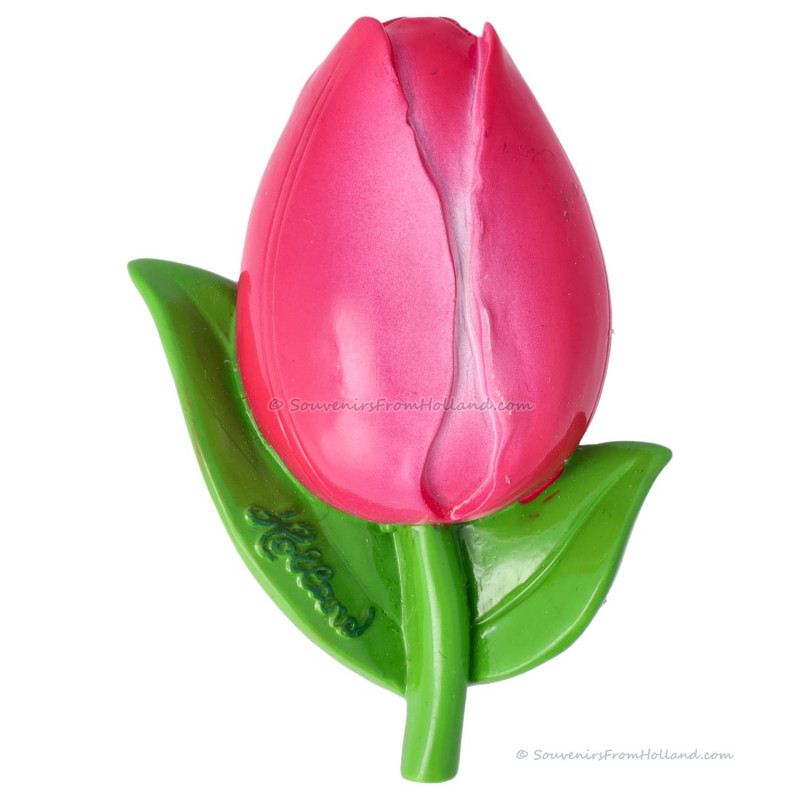 Roze Tulp 3D Magneet 7,5cm Polystone