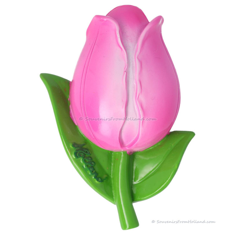 Fuchsia Tulp 3D Magneet 7,5cm