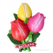 Red-Yellow-Pink Tulip...