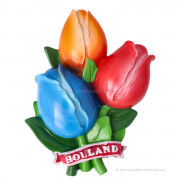 Blue-Orange-Red Tulip...