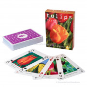 Tulips from Holland -...