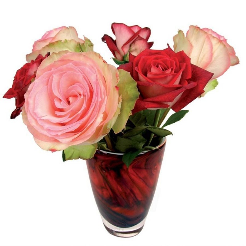 Flat Flower - Red and Pink Roses