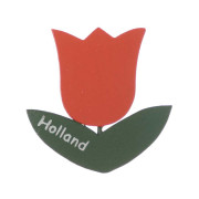 Tulip Orange - Magnet Wood