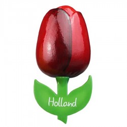 Red Aubergine - Wooden Tulip Magnet 6cm