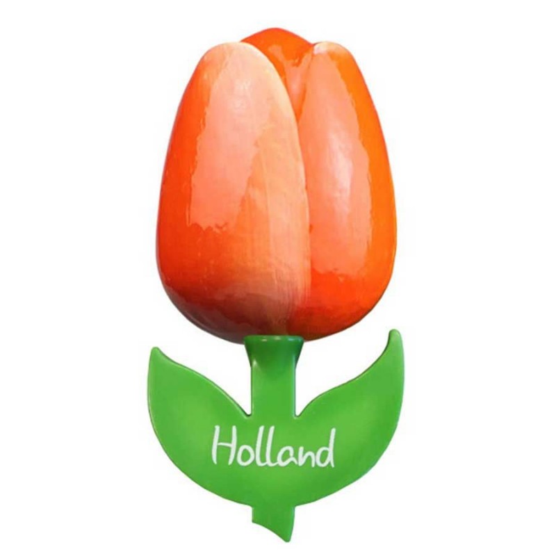 Oranje Wit - Houten Tulp Magneet 6cm