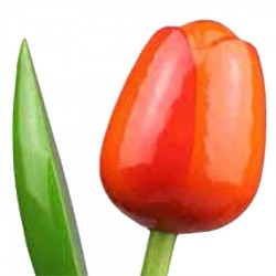 OranjeRood - Boeket Houten Tulpen
