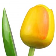 YellowOrange - Bunch Wooden Tulips