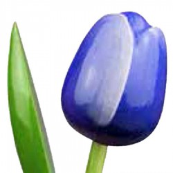 Blauw Wit - Boeket Houten Tulpen
