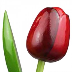 Red Aubergine - Bunch Wooden Tulips
