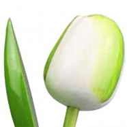 White Green - Bunch Wooden Tulips