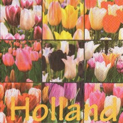 Tulips Napkins - Color