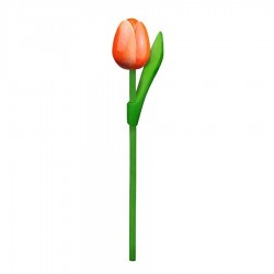 10 Orange-White Wooden Tulips 20cm