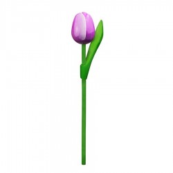 10 Purple-White Wooden Tulips 20cm