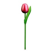10 Red-White Wooden Tulips...