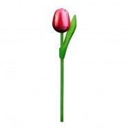 10 Rood-Wit Houten Tulpen 20cm