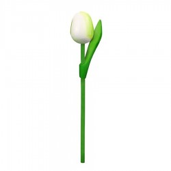 10 Wit-Groen Houten Tulpen 20cm
