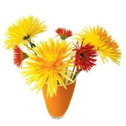 Flat Flower Raamsticker - Gele Chrysant