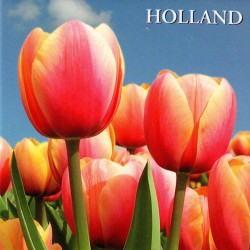 Tulpen Holland - Platte Magneet
