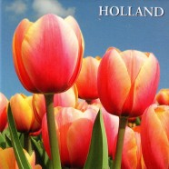 Tulips Holland - Flat Magnet