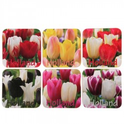 Tulip Holland - Cork Coasters - set of 6 assorti