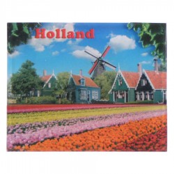 Tulpenvelden Dorp - Holland 2D Magneet