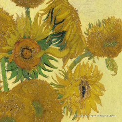 3-ply Napkins 33cm Sunflowers van Gogh