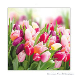 3-laags servetten 25cm Glorieuze Tulpen