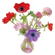 Flat Flowers - Originals Raamstickers Anemone Paars