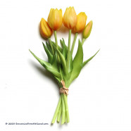 Small yellow artificial tulips 25cm