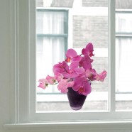 Flat Flower Raamsticker - Orchidee Paars- Roze