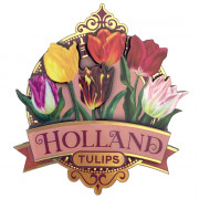 Pretty tulips Holland roze...