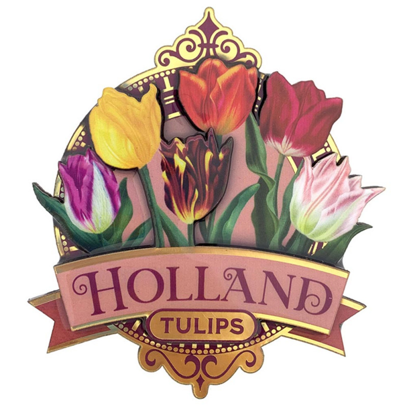 Pretty tulips Holland roze 2D magneet