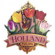 Pretty tulips Holland Pink 2D magnet