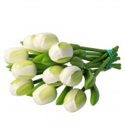 10 Wit-Groen Houten Tulpen...