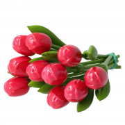 10 Pink-Red Wooden Tulips 20cm