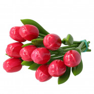 10 Roze-Rood Houten Tulpen 20cm