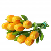 10 Geel-Oranje Houten...