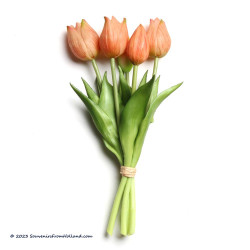 Kleine Perzik-kleurige kunst tulpen 25cm