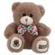 Teddy Bear brown pluche...