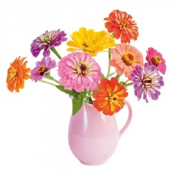Flat Flower - Zinnia - Mixed Colors