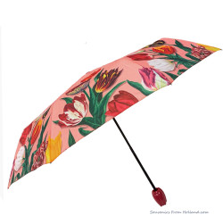 Pink umbrella Tulips