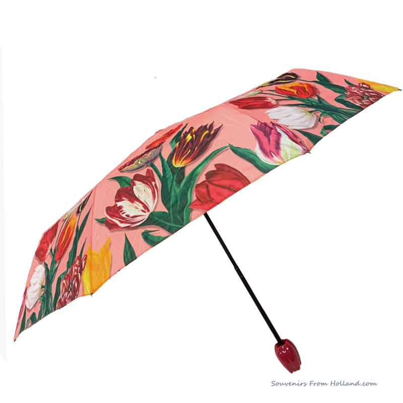 Pink umbrella Tulips