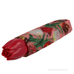 Pink umbrella Tulips