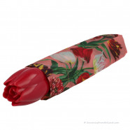 Pink umbrella Tulips