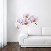 Wall Stickers - Wanted Wheels - Flat Flowers Orchid White - Wall Sticker