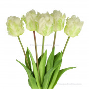 Parrot tulips white 40cm -...