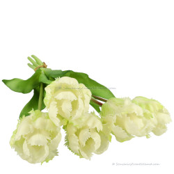 Parrot tulips white 40cm - Bunch of 5 artificial tulips