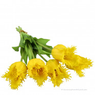 Fringed tulips yellow 45cm - Bunch of 5 artificial tulips